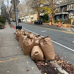 Trash/Recycling at 174 Winchester St