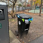 Trash/Recycling at 1–99 Emerson St