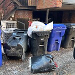 Trash/Recycling at 16 Winchester St