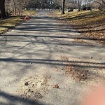 Sidewalk Obstruction at Beech Ave, Chestnut Hill