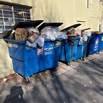 Trash/Recycling at 1007 Beacon St