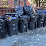 Trash/Recycling at 1047 Beacon St