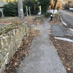 Sidewalk Obstruction at 459 Heath St, Chestnut Hill