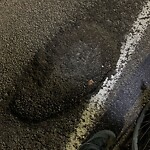 Pothole at 42.32 N 71.13 W