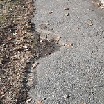 Sidewalk Repair at 697 Ma 9