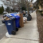 Trash/Recycling at 81 Winchester St