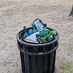 Trash/Recycling at 84 Upland Rd