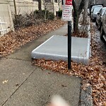 Sidewalk Obstruction at 97 Marion St