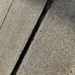 Sidewalk Repair at 43 Crowninshield Rd