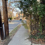 Sidewalk Obstruction at 12 Manchester Rd