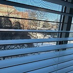 Parking Issues at 13 Webster St