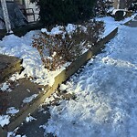 Unshoveled/Icy Sidewalk at 15 Holden St