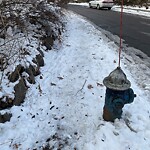 Unshoveled/Icy Sidewalk at 29 Oakland Rd