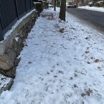 Unshoveled/Icy Sidewalk at 4 Vogel Terr