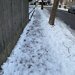 Unshoveled/Icy Sidewalk at 7 Oakland Rd