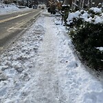 Unshoveled/Icy Sidewalk at 263 Walnut St