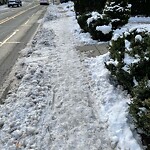 Unshoveled/Icy Sidewalk at 277 Walnut St