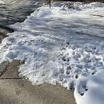 Unshoveled/Icy Sidewalk at 282 Cypress St