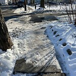 Unshoveled/Icy Sidewalk at 195 Cypress St