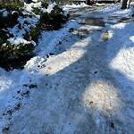 Unshoveled/Icy Sidewalk at 177 Cypress St