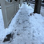 Unshoveled/Icy Sidewalk at 40 University Rd