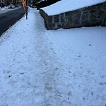 Unshoveled/Icy Sidewalk at 79 University Rd