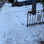 Unshoveled/Icy Sidewalk at 81 University Rd