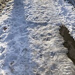 Unshoveled/Icy Sidewalk at 104 Middlesex Rd, Chestnut Hill