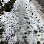 Unshoveled/Icy Sidewalk at 230 Middlesex Rd, Chestnut Hill