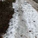 Unshoveled/Icy Sidewalk at 218 Middlesex Rd, Chestnut Hill