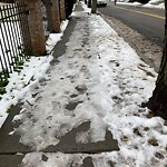 Unshoveled/Icy Sidewalk at 104 Middlesex Rd, Chestnut Hill