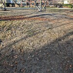 Park Playground at 26 Beech Rd