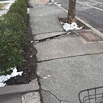 Sidewalk Repair at 523 Washington St