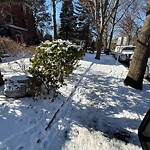 Unshoveled/Icy Sidewalk at 108 Ivy St