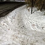 Unshoveled/Icy Sidewalk at 29 Oakland Rd