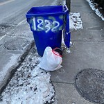 Trash/Recycling at 199 Saint Paul St