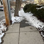 Sidewalk Obstruction at 235 Cypress St