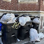 Rodent Issues at 11 Babcock St