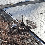 Sidewalk Repair at 7 Fisher Ave