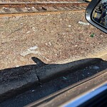 Trash/Recycling at 42.34 N 71.12 W