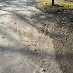 Sidewalk Obstruction at Downing Ave, Chestnut Hill
