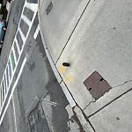 Sidewalk Repair at 2–50 Stedman St, Brookline 02446