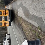 Sidewalk Repair at 870 Hammond St, Chestnut Hill