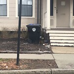 Trash/Recycling at 16 Winslow Rd
