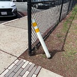 Trash/Recycling at 42.33 N 71.13 W