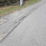 Pothole at 320 Dudley St
