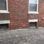 Graffiti at 240 Babcock St