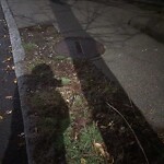 Trash/Recycling at N42.34 E71.12