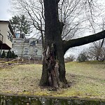 Public Trees at 2–106 Jordan Rd
