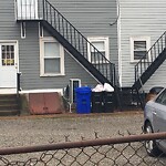 Rodent Issues at 20 Winslow Rd